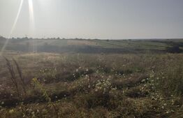 Teren intravilan 5000 mp deschidere 17 ml la DN65 , zona Qfort 