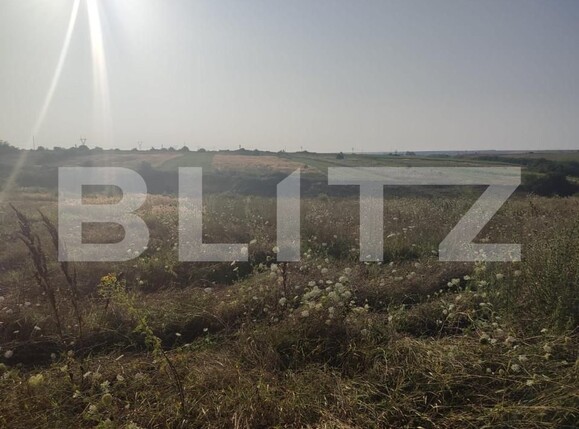 Teren de vânzare Pielești - 151775TV | BLITZ Craiova | Poza2