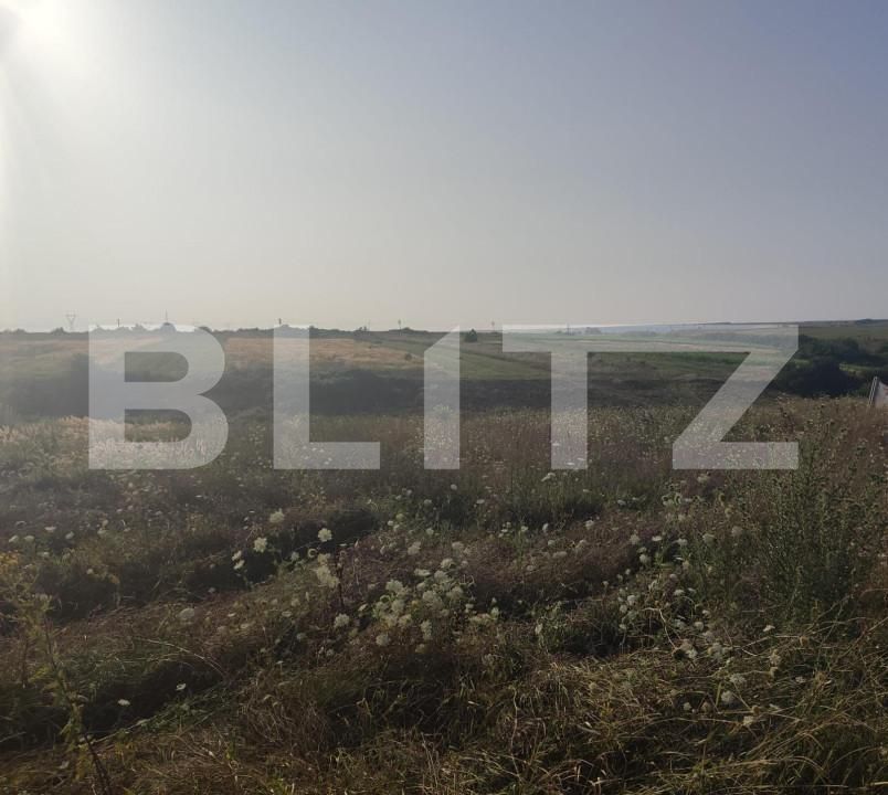 Teren de vânzare Pielești - 151775TV | BLITZ Craiova | Poza3