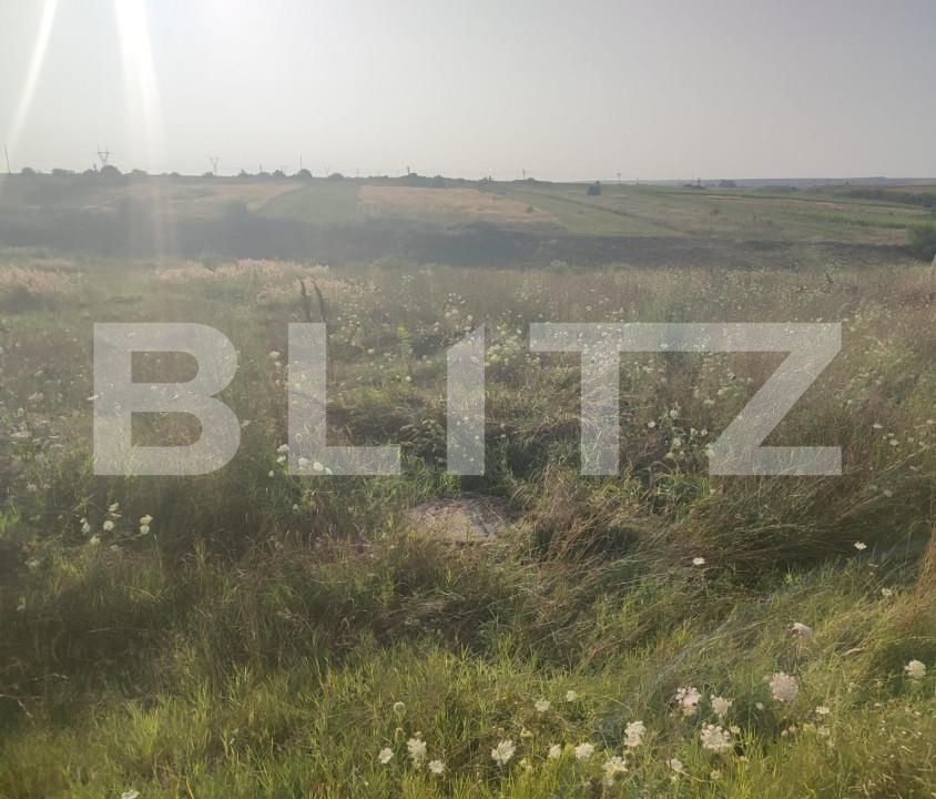 Teren de vânzare Pielești - 151775TV | BLITZ Craiova | Poza1