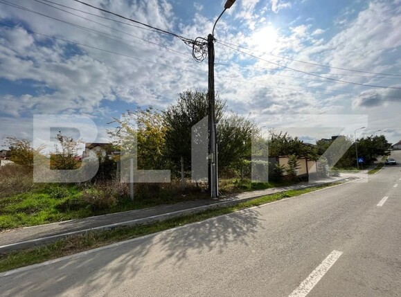 Teren de vânzare Romanesti - 151788TV | BLITZ Craiova | Poza4