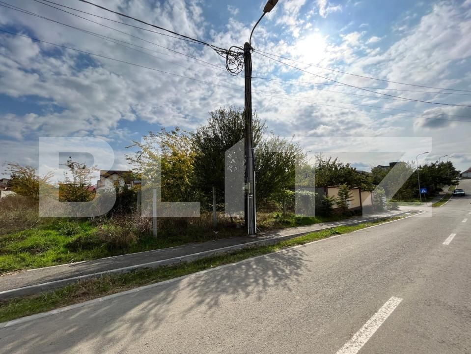 Teren de vânzare Romanesti - 151788TV | BLITZ Craiova | Poza4