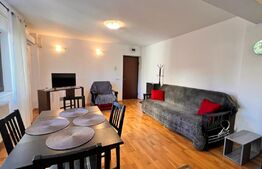 Apartament 2 camere, mobilat si utilat modern, Rovine 