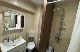 Garsoniera , 35.5mp, zona Brazda