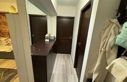 Garsoniera , 35.5mp, zona Brazda