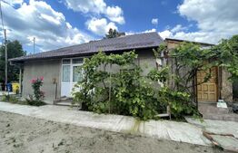 Casa pe parter, 3 camere,  strada Brestei 