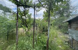 Casa pe parter, 3 camere,  strada Brestei 