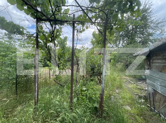 Casa de vânzare 3 camere Brestei - 151812CV | BLITZ Craiova | Poza9