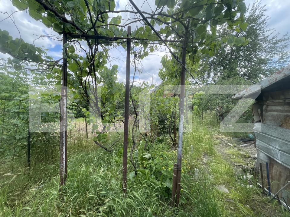 Casa de vânzare 3 camere Brestei - 151812CV | BLITZ Craiova | Poza9