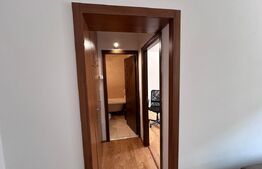 Apartament cu 3 camere,65 mp , Centrul Vechi