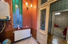 Ocazie! Casă pe parter cu anexe, 202 mpc, 488 mp teren, zona Tudor Vladimirescu