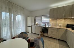 Casă individuală la cheie mobilata - utilata, 179 mp, teren 480 mp, zona Damila