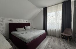 Casă individuală la cheie mobilata - utilata, 179 mp, teren 480 mp, zona Damila