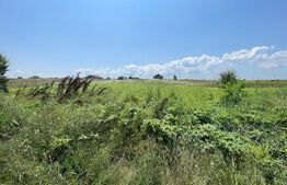 Parcele teren intravilan, 1600 mp, Malu Mare