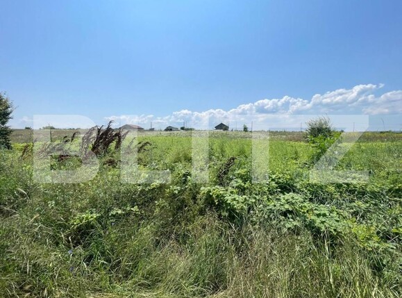 Teren de vânzare Malu Mare - 152054TV | BLITZ Craiova | Poza3