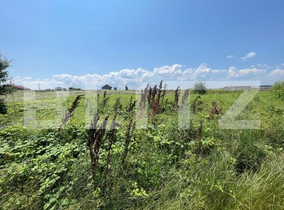 Teren de vânzare Malu Mare - 152054TV | BLITZ Craiova | Poza2