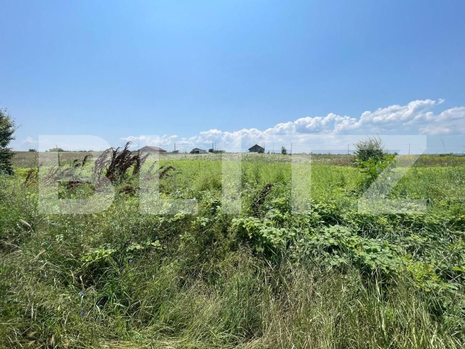 Teren de vânzare Malu Mare - 152054TV | BLITZ Craiova | Poza3