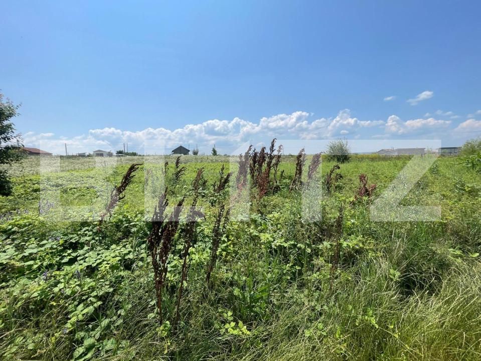 Teren de vânzare Malu Mare - 152054TV | BLITZ Craiova | Poza2