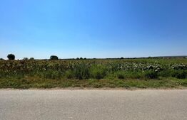 Teren 10.000 mp cu toate utilitățile la front asfaltat, Mân. Jitianu, Braniște