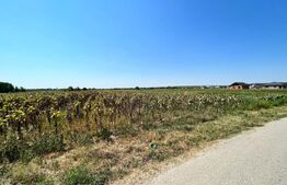 Teren 10.000 mp cu toate utilitățile la front asfaltat, Mân. Jitianu, Braniște