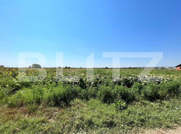 Teren de vânzare Exterior Sud - 152128TV | BLITZ Craiova | Poza3