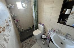 Casa P+1, 179 mp utili, 406 mp teren, zona Brestei