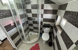 Casa P+1, 179 mp utili, 406 mp teren, zona Brestei