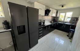 Casa P+1, 179 mp utili, 406 mp teren, zona Brestei