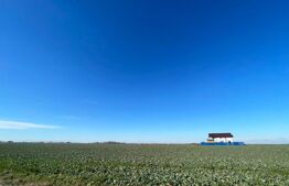 Investitie! Teren intravilan 7537 mp, zona Peugeot-Pielesti