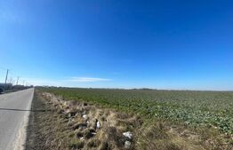 Investitie! Teren intravilan 7537 mp, zona Peugeot-Pielesti