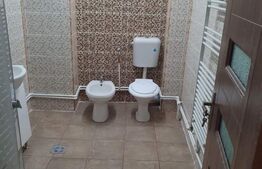  Casa cu 4 apartamente, 240 mp, 260 mp teren, Ultracentral