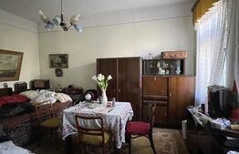 Casa renovabila/ demolabila Stefan cel Mare, deschidere 22,9ml, 341 mp teren 