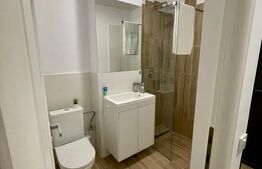 Garsoniera , 26mp,  zona Satina