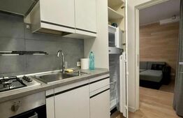 Garsoniera , 26mp,  zona Satina