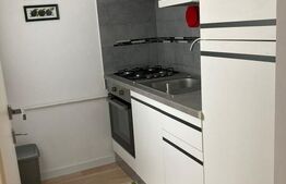 Garsoniera , 26mp,  zona Satina