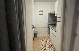 Garsoniera , 26mp,  zona Satina