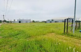 Teren intravilan industrial, 3000 mp, zona Serpico