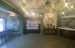 Spațiu comercial, 377 mp, zona Piata Chiriac