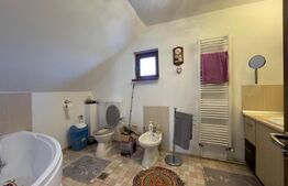 Casa P+M de familie, gata de mutat, Malu Mare 362 mp teren