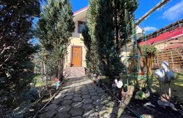 Casa P+M de familie, gata de mutat, Malu Mare 362 mp teren