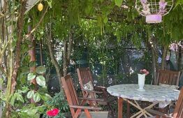 Casă P+M , teren aferent de peste 1000mp ,  zona Lăpuș/Drumul Muntenilor