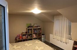 Casă P+M , teren aferent de peste 1000mp ,  zona Lăpuș/Drumul Muntenilor