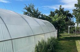 Casă P+M , teren aferent de peste 1000mp ,  zona Lăpuș/Drumul Muntenilor