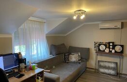 Casă P+M , teren aferent de peste 1000mp ,  zona Lăpuș/Drumul Muntenilor