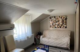 Casă P+M , teren aferent de peste 1000mp ,  zona Lăpuș/Drumul Muntenilor