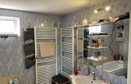 Casă P+M , teren aferent de peste 1000mp ,  zona Lăpuș/Drumul Muntenilor