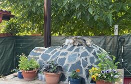 Casă P+M , teren aferent de peste 1000mp ,  zona Lăpuș/Drumul Muntenilor