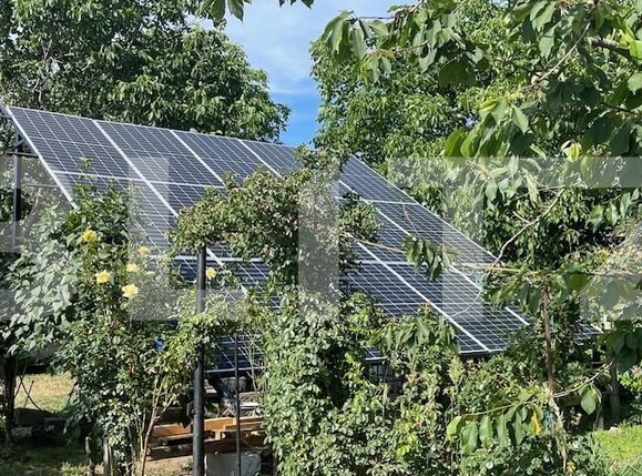 Casa de vânzare 4 camere Lapus - 152559CV | BLITZ Craiova | Poza14