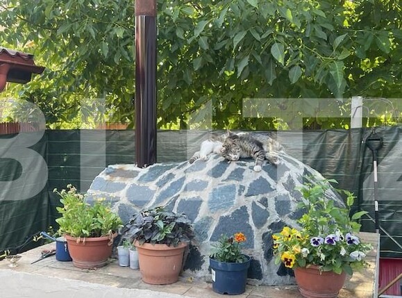 Casa de vânzare 4 camere Lapus - 152559CV | BLITZ Craiova | Poza10