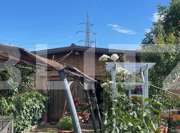 Casa de vânzare 4 camere Lapus - 152559CV | BLITZ Craiova | Poza11